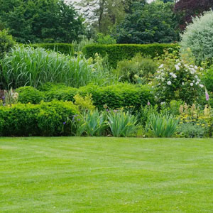 garden Landscaped Gardens